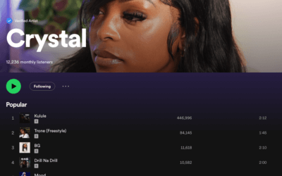 Cliente feliz – A equipe de suporte Luna corrigiu o perfil Crystal Spotify